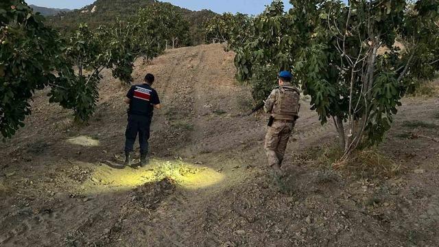 Jandarma incir hırsızlarına geçit vermiyor