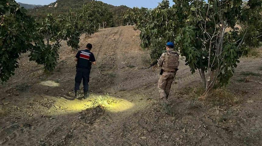 Jandarma incir hırsızlarına geçit vermiyor