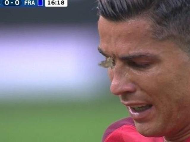 Ronaldo'nun yüzüne konan güve interneti salladı