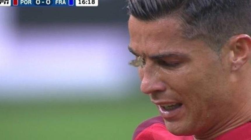 Ronaldo'nun yüzüne konan güve interneti salladı