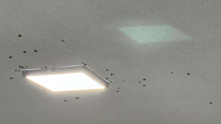 Türkiye'de bir şehir resmen istila altında! Gece çökünce 'Vampir kelebek' kabusu başlıyor G1