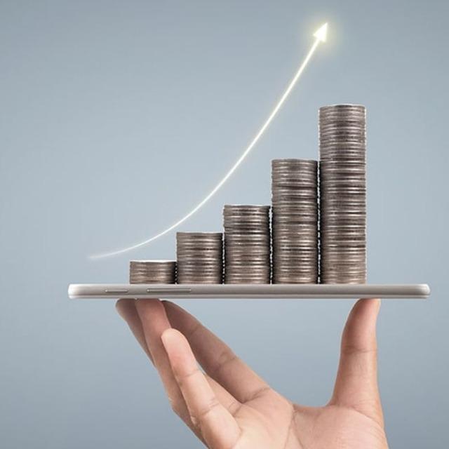 Yarın temett&uuml; g&uuml;n&uuml;: 2 şirket nakit k&acirc;r payı dağıtacak