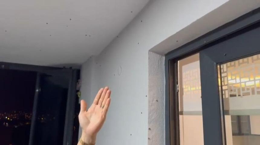 Gündüz ortada yoklar, gece olunca evleri istila ediyorlar! Bölgede kabusu oldular...