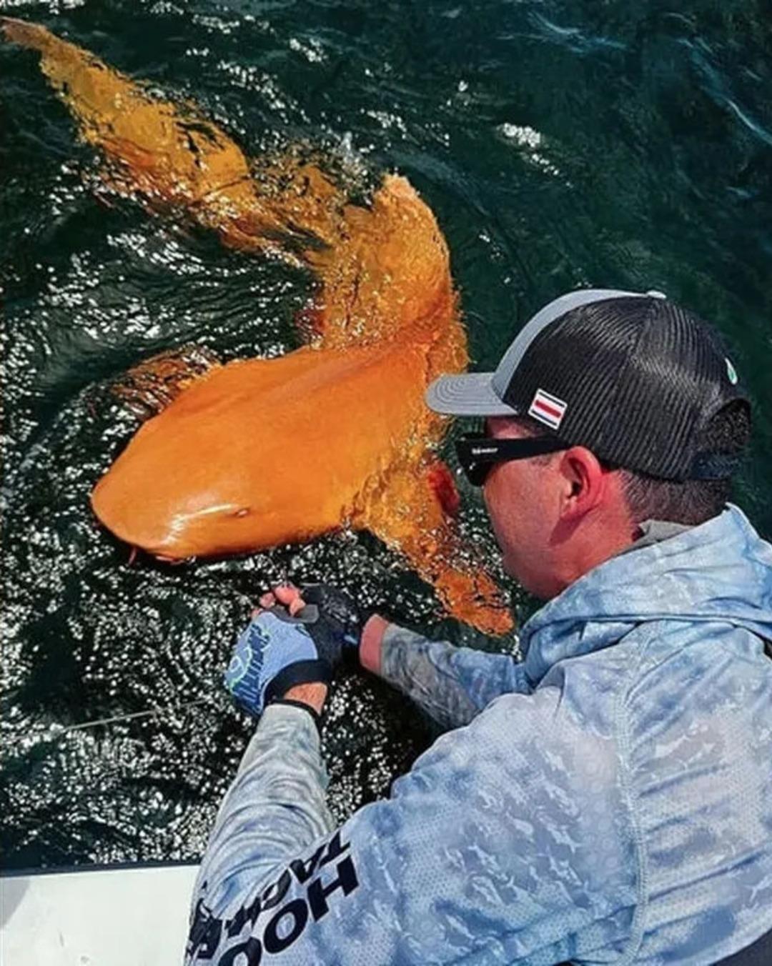 Balıkçılar şaşkına döndü! Turuncu renkli çıktı, bakan bir daha baktı! Nedeni bakın ne çıktı 1