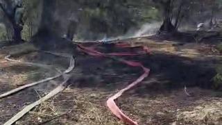 Mudanya’da korkutan yangın