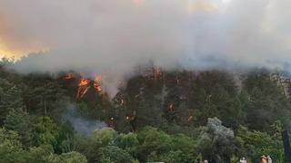 Bolu’da orman yangını! Ekipler müdahale etti, kontrol altına alındı