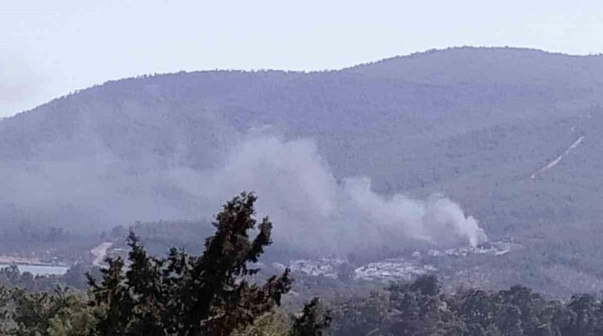 Yangın ormana sıçramadan söndürüldü