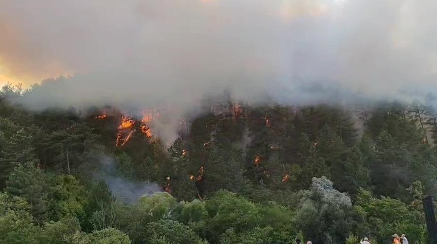Bolu’da çıkan orman yangını kontrol altına alındı