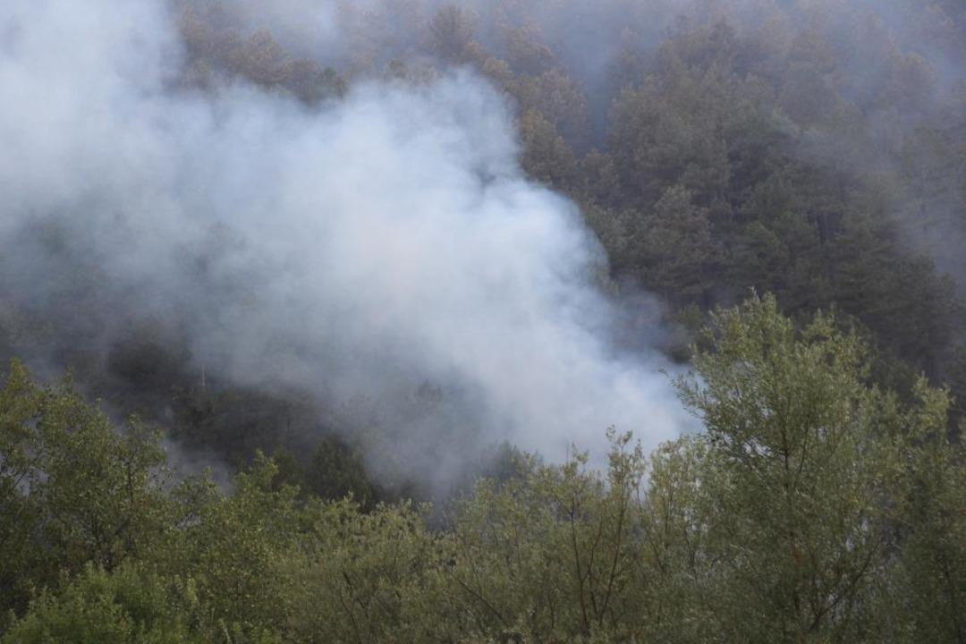 Bolu’da çıkan orman yangını kontrol altına alındı 2
