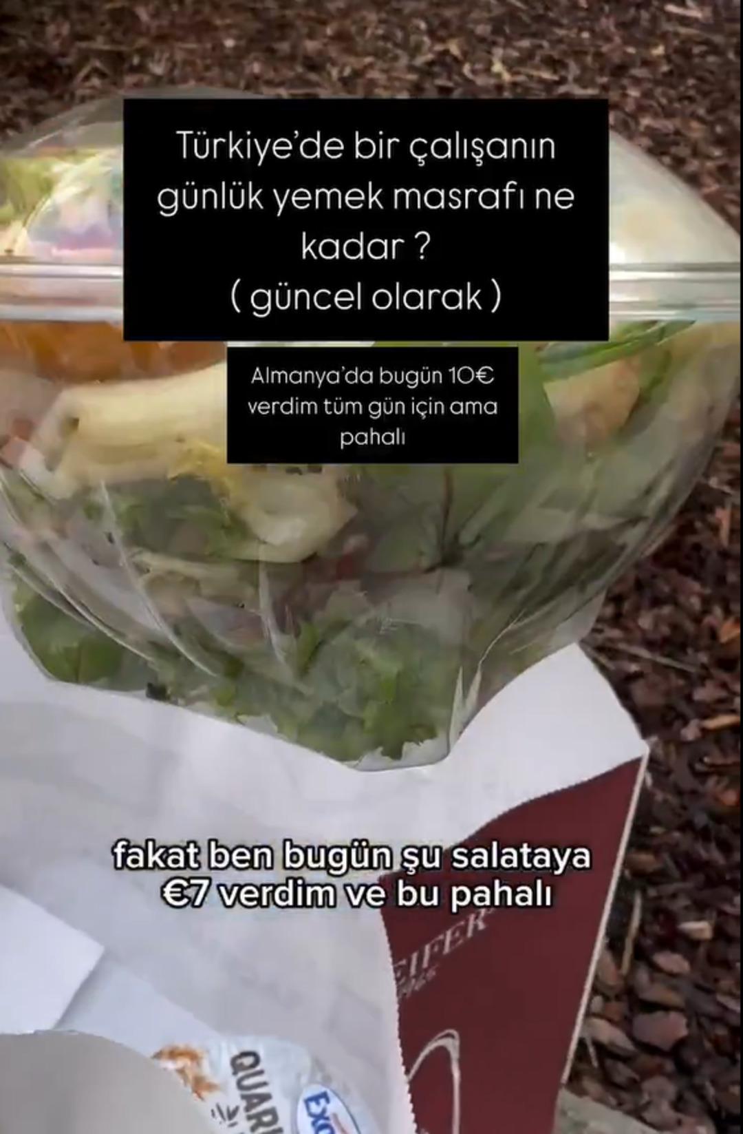 Almanya dan 10 euroya aldı: Pahalılığına isyan etti! "Türkiye de bir salata yemek istesem..." 3