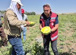 İran'dan getirip başladı! 'Bu sene değişik bir yöntem denedim, yükseldi' 5 dönümde yapıyor