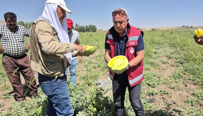 İran'dan getirip başladı! 'Bu sene değişik bir yöntem denedim, yükseldi' 5 dönümde yapıyor
