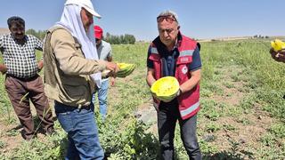 İran'dan getirip başladı! 'Bu sene değişik bir yöntem denedim, yükseldi' 5 dönümde yapıyor