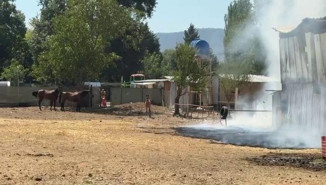 Bursa’da hayvan damı yandı: 1 at, 2 keçi telef oldu 3