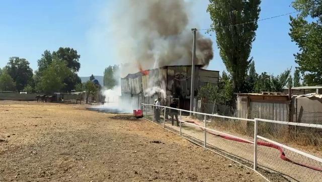 Bursa’da hayvan damı yandı: 1 at, 2 keçi telef oldu 2