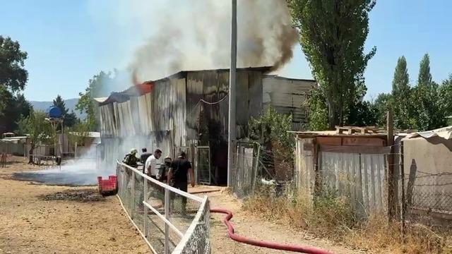 Bursa’da hayvan damı yandı: 1 at, 2 keçi telef oldu