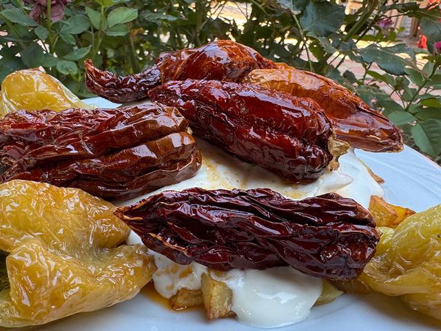 Tescilli lezzet! Kale biberinde hasat zamanı: Ata tohumundan sofralara...