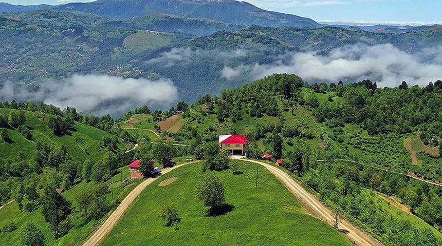 Karadeniz’de alerji alarmı: Alerjik hava yolu hastalıklarına dikkat! Uzmanlar tehlikeye karşı uyardı... 