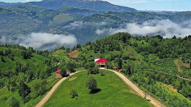 Karadeniz’de alerji alarmı: Alerjik hava yolu hastalıklarına dikkat! Uzmanlar tehlikeye karşı uyardı... 