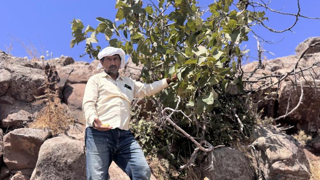 12 yaşındaki Zeynep Sut un sır ölümü! Acılı baba olay günü yaşananları ilk kez anlattı: "Kan izleri gördüm iki taşın arasındaydı" 3