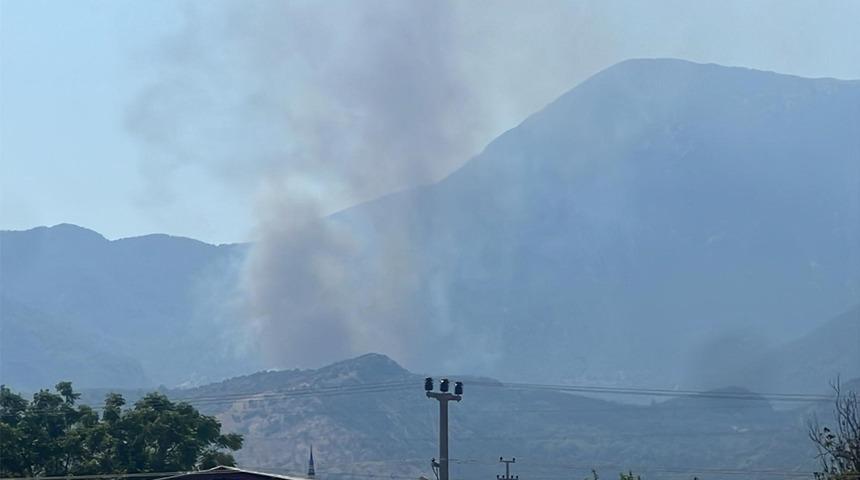 Makilik alanda çıkan yangın ormana sıçradı