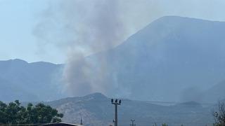 Makilik alanda çıkan yangın ormana sıçradı