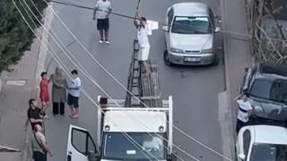 Elektrik kablosuna takılan güvercini kamyonetin kasasına çıkarak kurtardı