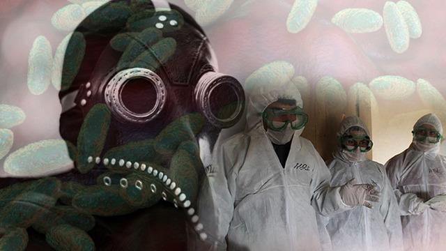 İnsanlık tarihinin en ölümcül hastalığı: Veba geri döndü! Pire ısırığı ile bulaştı…