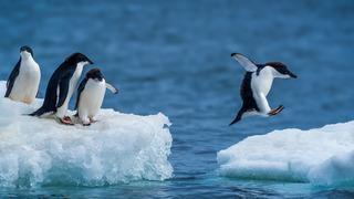 Antarktika’dan bilimi şaşkına çeviren gizemli sinyal: “Yaşayan Nostradamus” adlı ünlü kahinden özel açıklamalar: ‘Paralel evren’ iddiası!