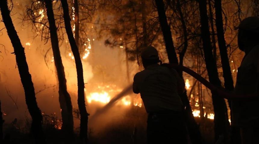 Muğla'da orman yangını riskine karşı uyarı