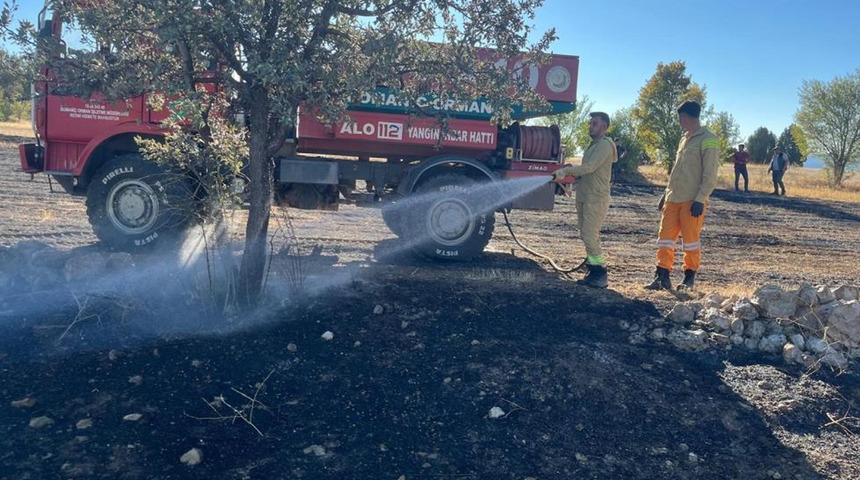 Anız yangını ormana sıçramadan söndürüldü