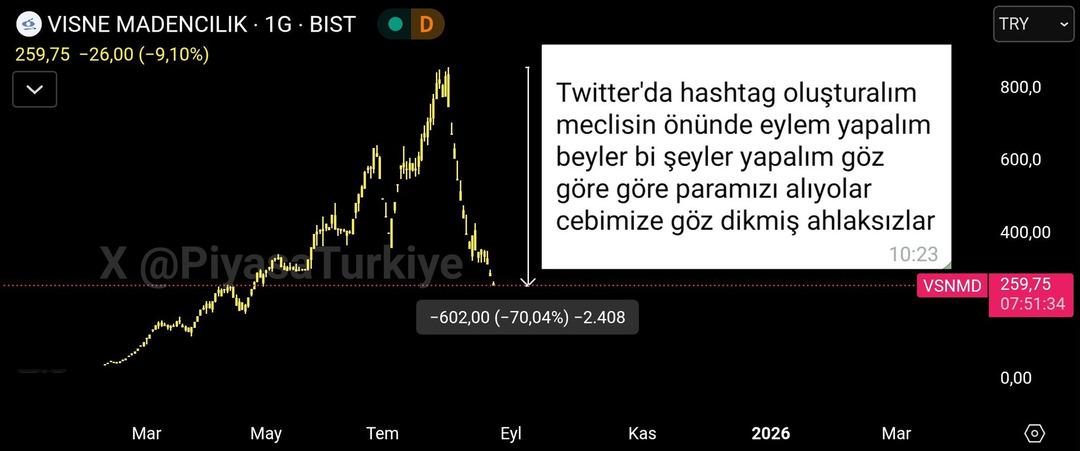 VSNMD fiyatı yapay şişirildi mi? Küçük yatırımcı derin zararda 3