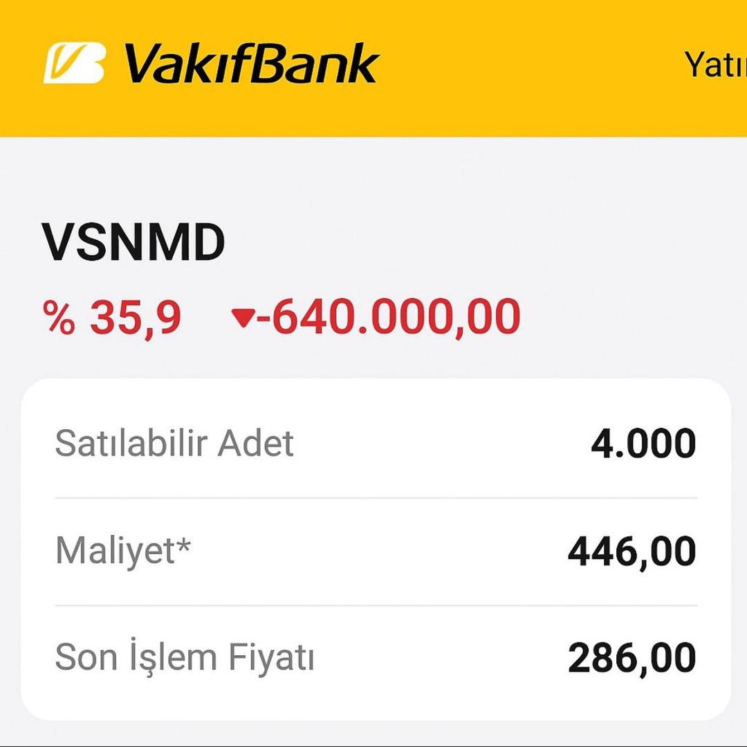 VSNMD fiyatı yapay şişirildi mi? Küçük yatırımcı derin zararda 4