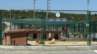 Valilik acilen toplatılmaları için talimat vermişti! Ekipler harekete geçti