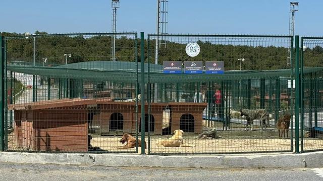 Valilik acilen toplatılmaları için talimat vermişti! Ekipler harekete geçti