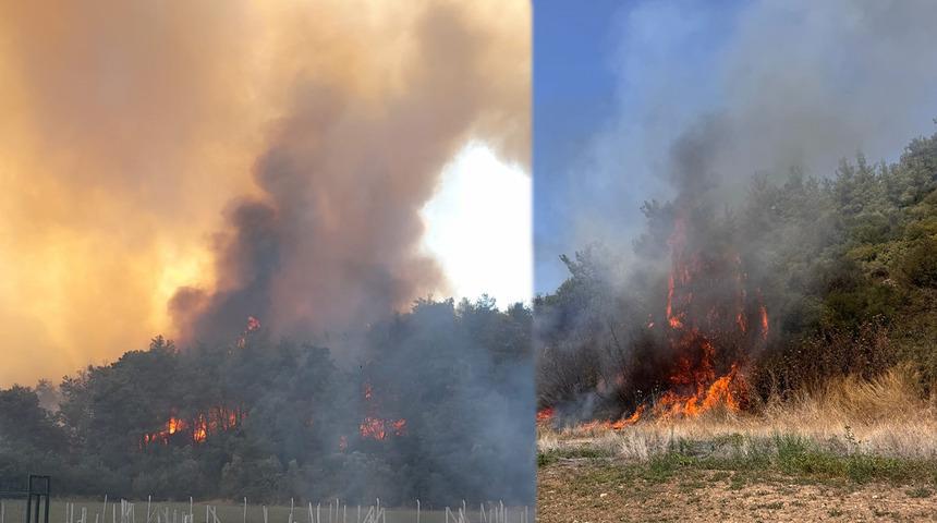 İzmir Menderes'te korkutan orman yangını! 8 uçak, 9 helikopter müdahale ediyor