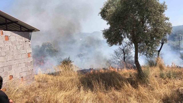 Bodrum’da otluk ve zeytinlik alanda yangın