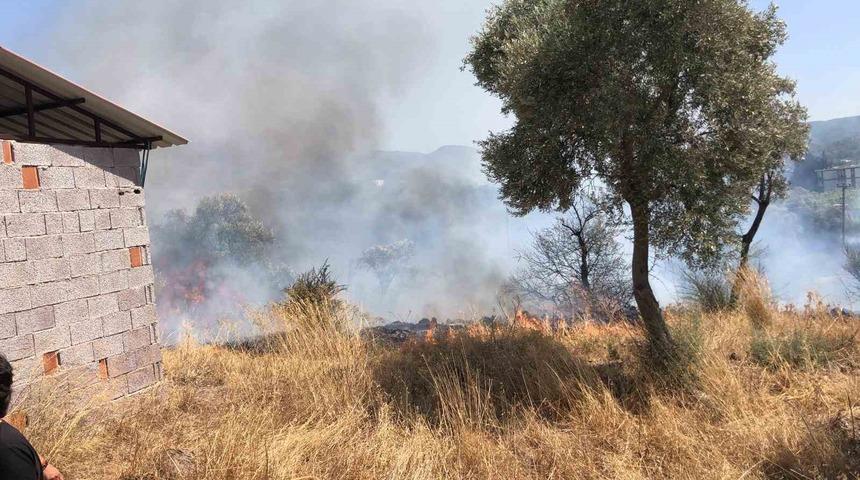 Bodrum’da otluk ve zeytinlik alanda yangın