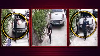 Aracın kasasına eşyaymış gibi fırlattılar! Bolu'da tepki çeken görüntüler: Sokak köpeklerine yapılan muamele kamerada