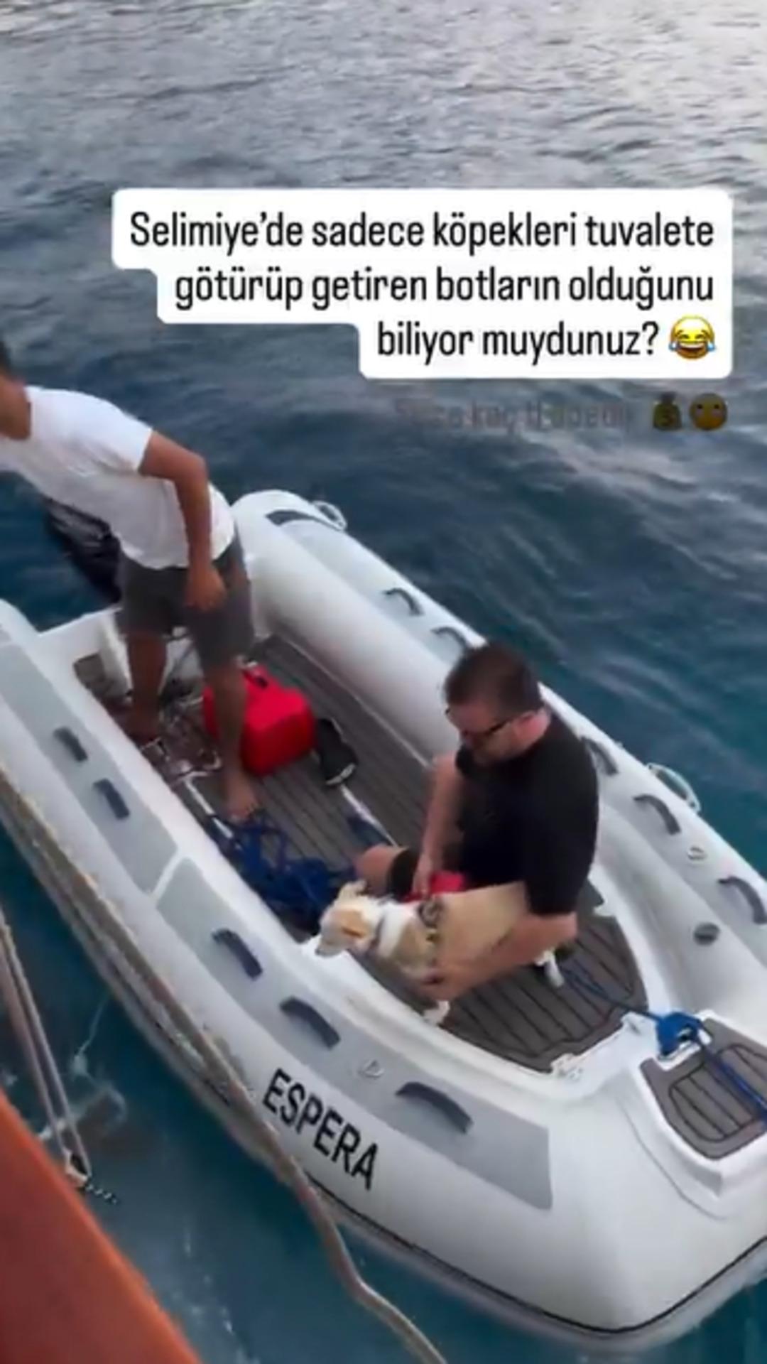 Yer: Muğla! Yok böyle hizmet! Özel bot kiralayarak köpeğini tuvalete gönderdi!  1