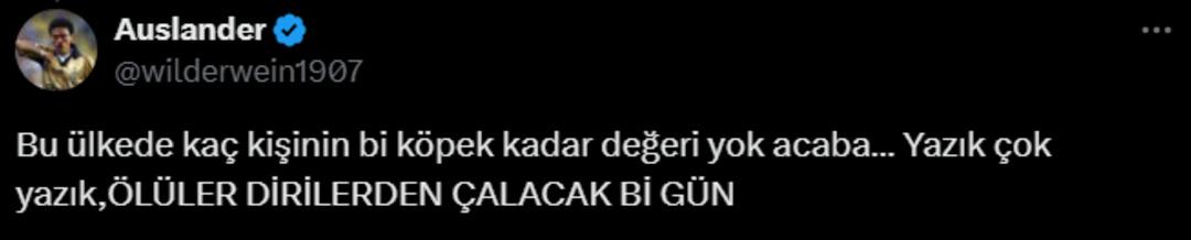 Yer: Muğla! Yok böyle hizmet! Özel bot kiralayarak köpeğini tuvalete gönderdi!  4