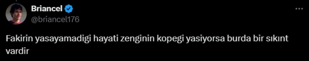 Yer: Muğla! Yok böyle hizmet! Özel bot kiralayarak köpeğini tuvalete gönderdi!  6