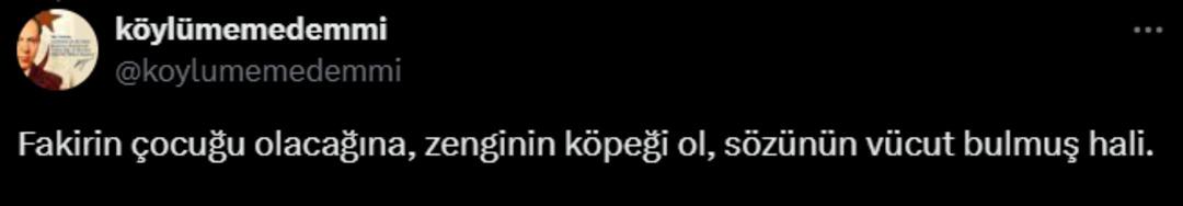 Yer: Muğla! Yok böyle hizmet! Özel bot kiralayarak köpeğini tuvalete gönderdi!  7