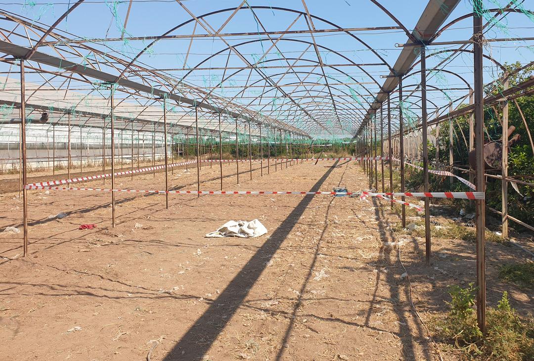 Yer: Antalya! Serada çifte cinayet: Pompalı tüfekle dehşet saçtı 1