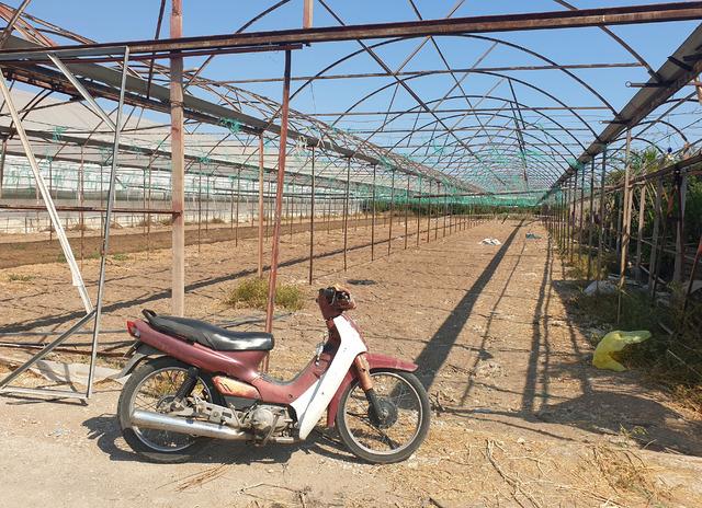 Serada çifte cinayet: Pompalı tüfekle dehşet saçtı