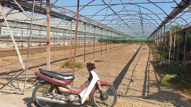 Yer: Antalya! Serada çifte cinayet: Pompalı tüfekle dehşet saçtı