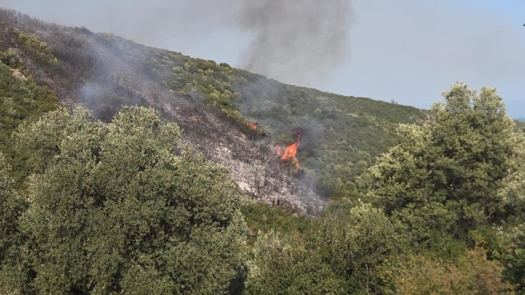 Bursa daki orman yangını kontrol altına alındı 1