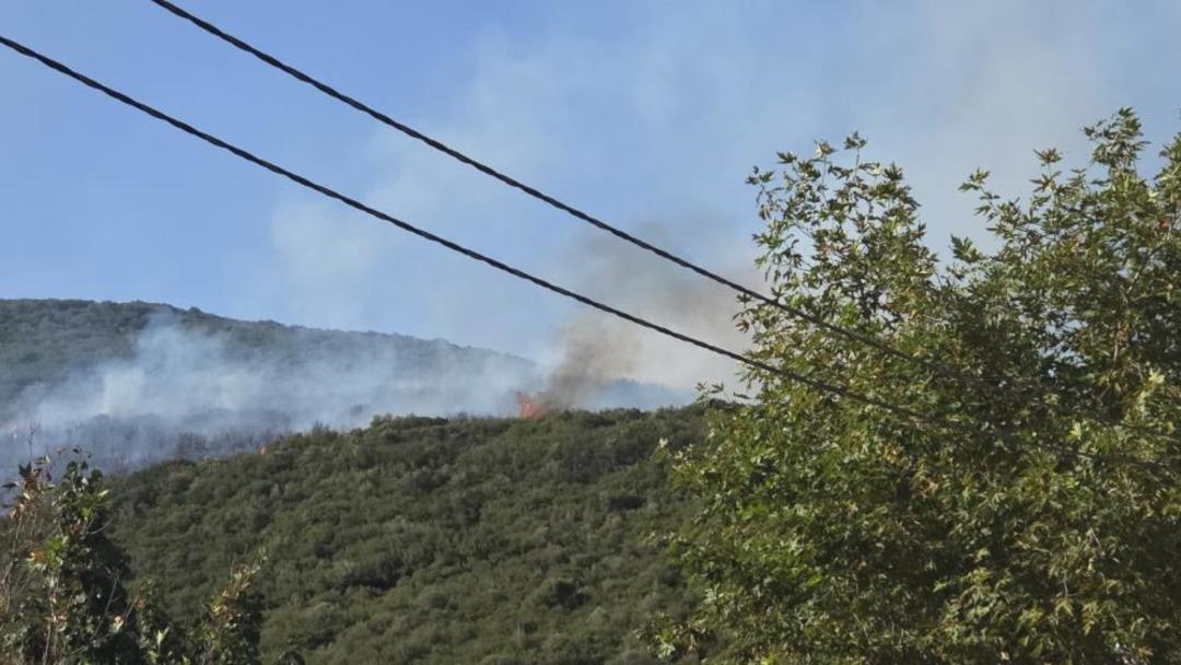 Bursa daki orman yangını kontrol altına alındı 2