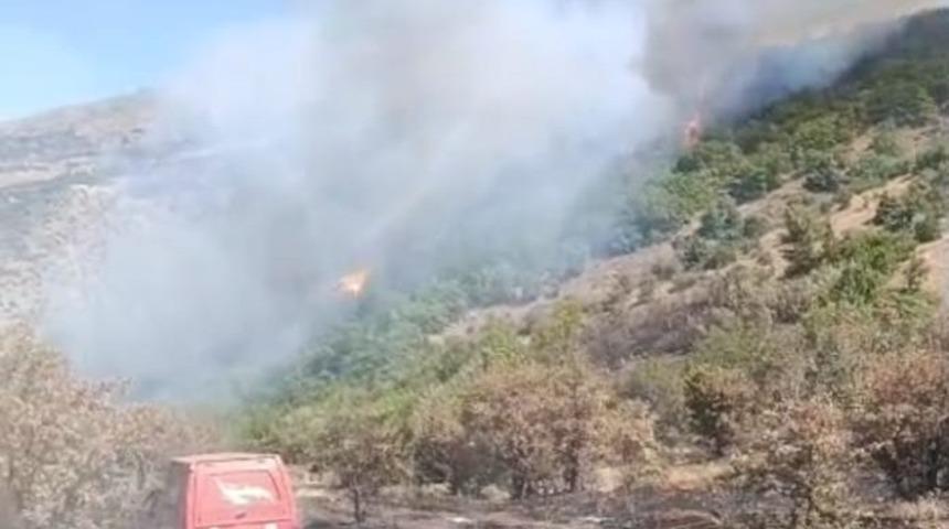 Malatya’daki orman yangını söndürüldü: 17 hektar alanın zarar gördü