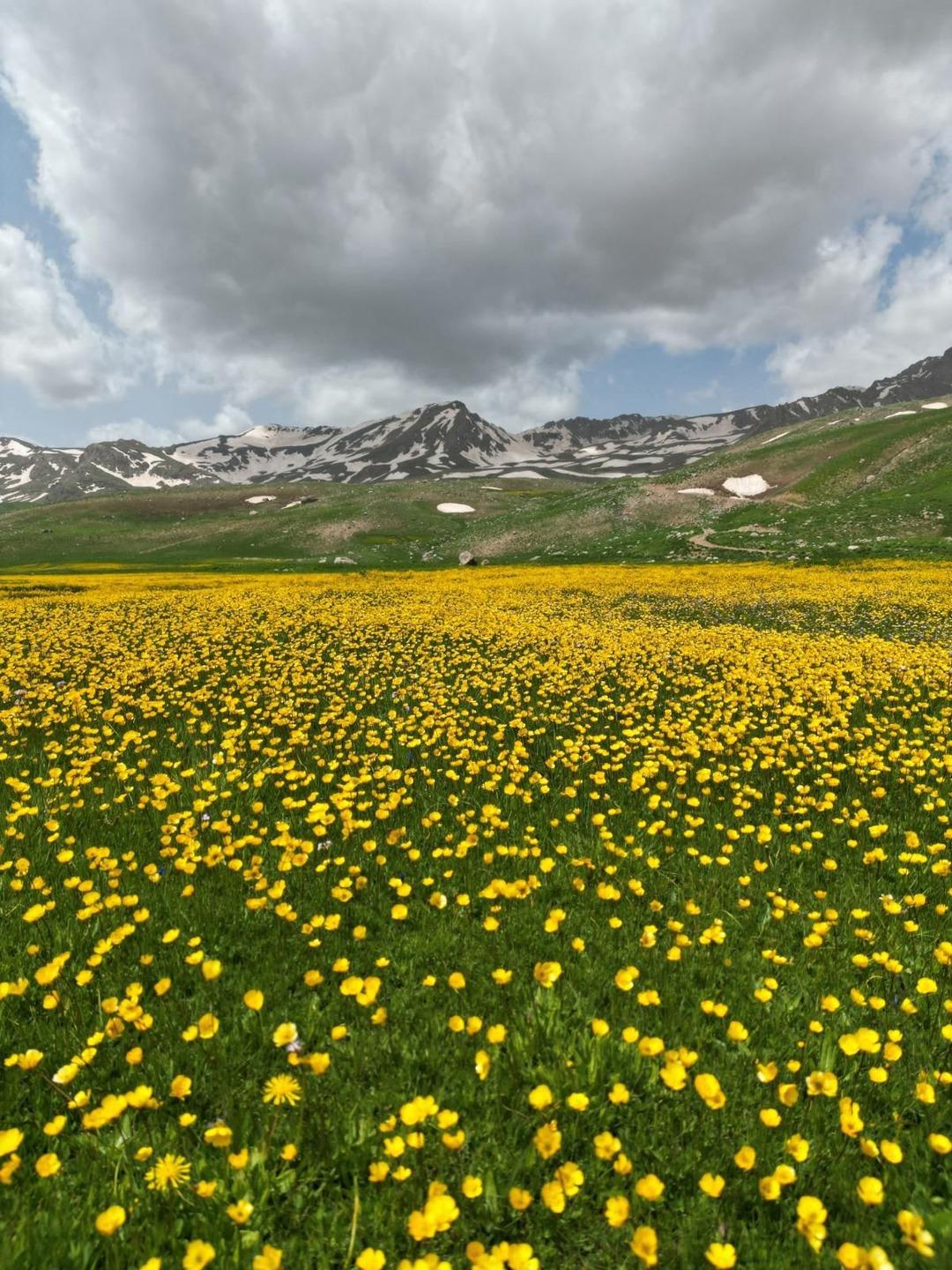 “Bir Anadolu Şenliği” serüveninin ilk rotası Hakkari oldu! Kültür, sanat ve lezzet bir arada 10